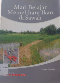 Image of MARI BELAJAR MEMLIHARA IKAN DI SAWAH